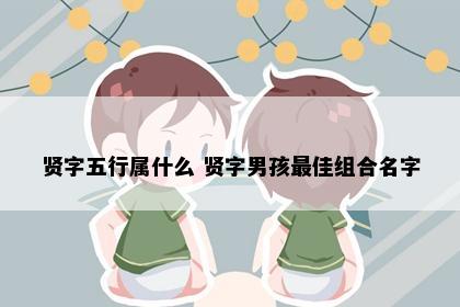 贤字五行属什么 贤字男孩最佳组合名字